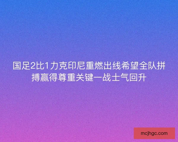 国足2比1力克印尼重燃出线希望全队拼搏赢得尊重关键一战士气回升