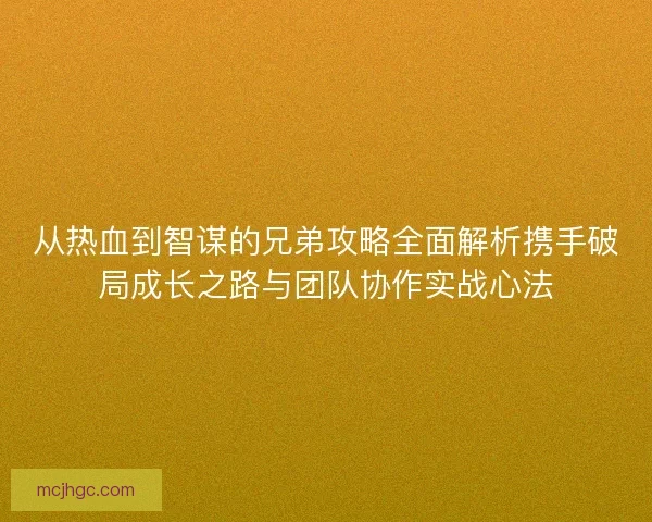 从热血到智谋的兄弟攻略全面解析携手破局成长之路与团队协作实战心法
